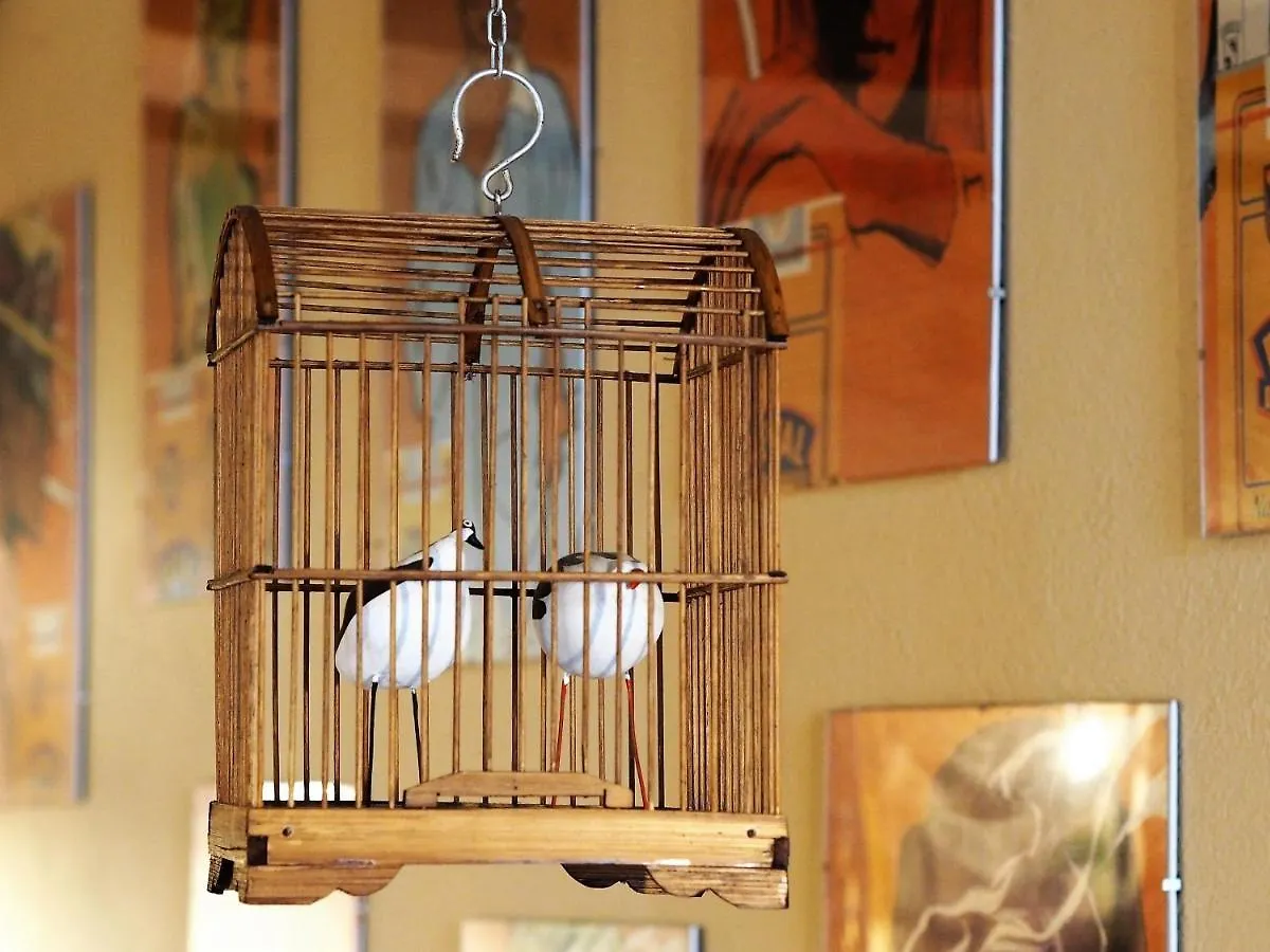 Chambres D'Hotes Le Secret Du Chat Cordes-sur-Ciel France